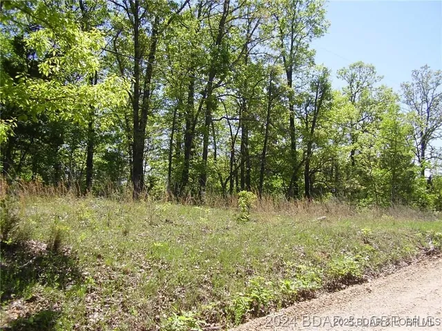 $8,000 | Lot #3892 Neuharth Circle, Edwards, MO 65326