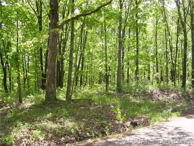 $8,000 | Lot #3892 Neuharth Circle, Edwards, MO 65326