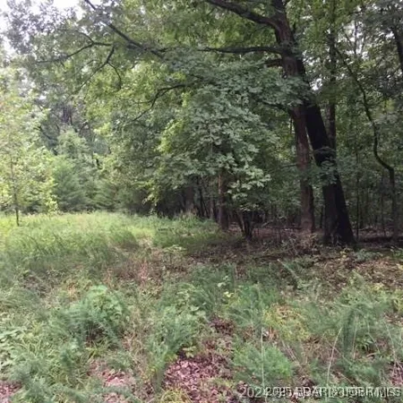 $8,000 | Lot #3892 Neuharth Circle, Edwards, MO 65326