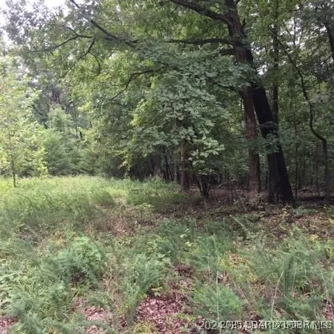 $8,000 | Lot #3892 Neuharth Circle, Edwards, MO 65326