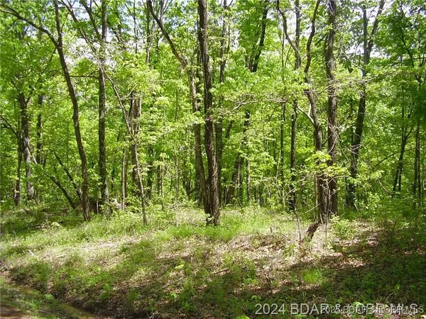 $8,000 | Lot #3892 Neuharth Circle, Edwards, MO 65326