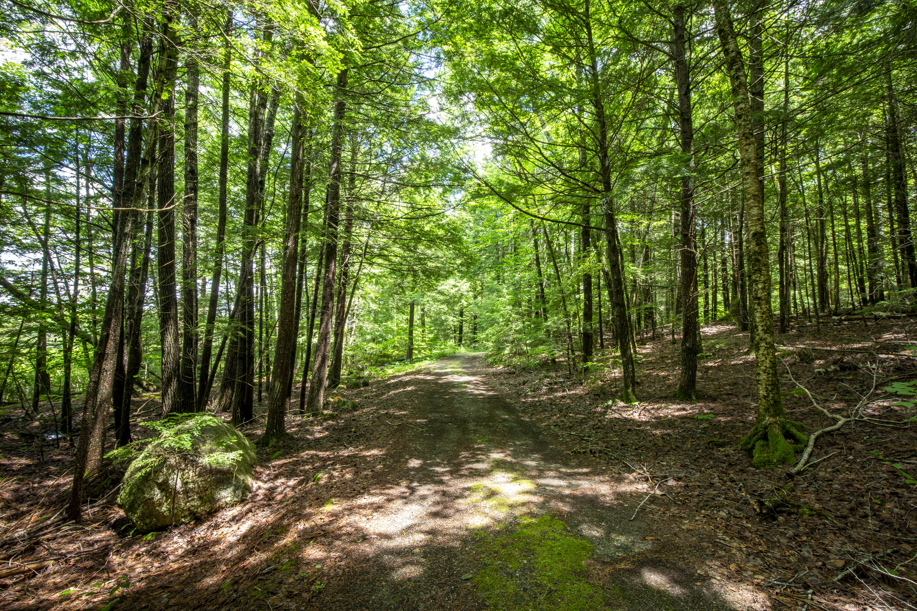54 Jefferson Road Whitefield, ME 04353 - Photo 39 of 50 49-54JeffersonRd-Whitefield-KS