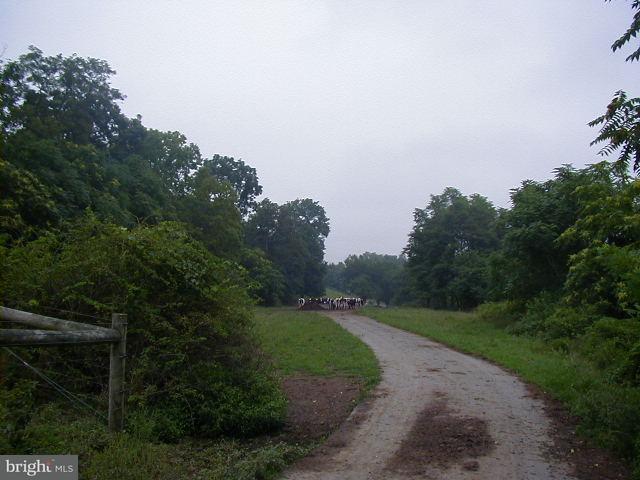 0 Log Cabin Road Ephrata, PA 17522 - Photo 3 of 6