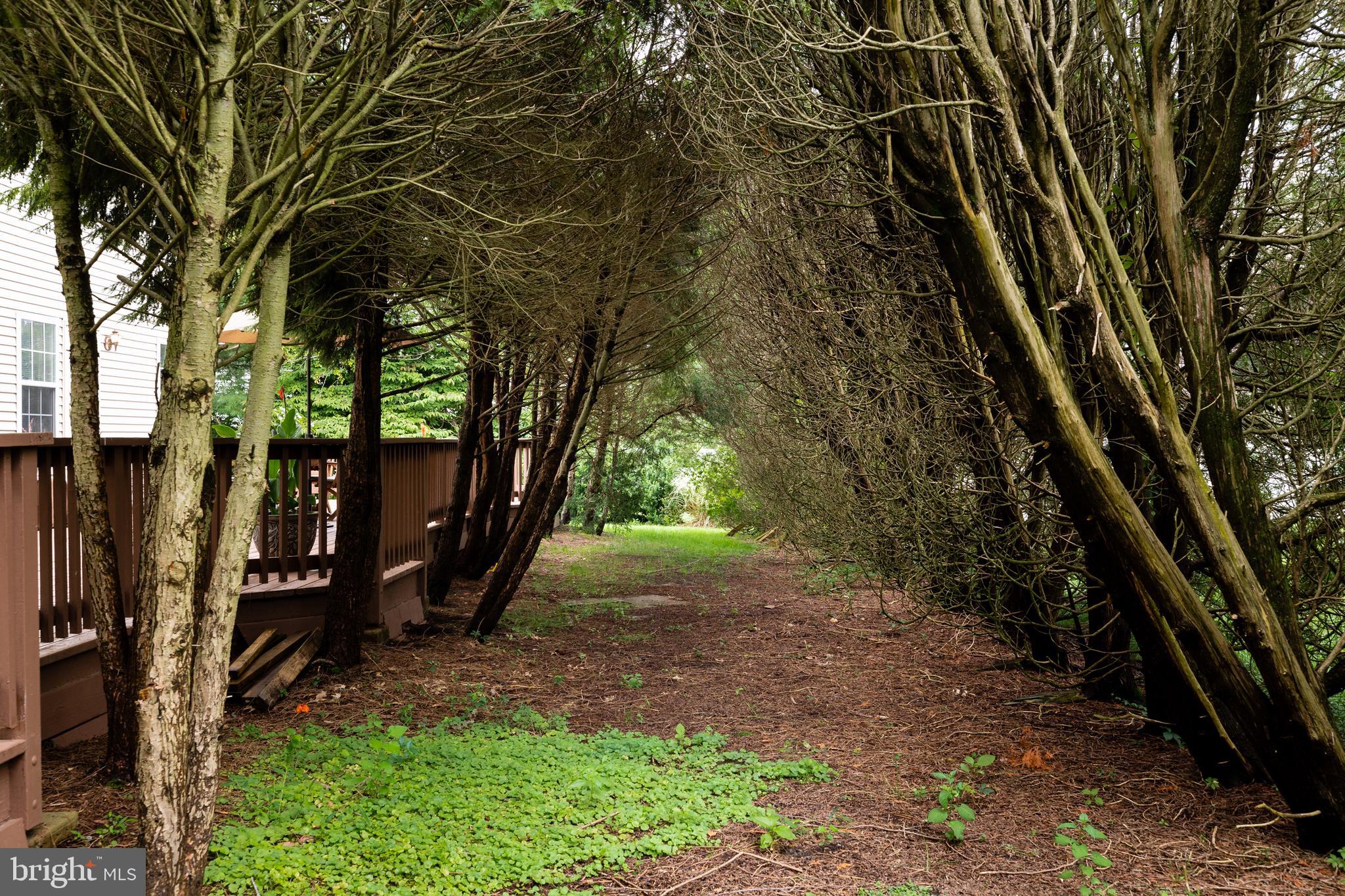 10 Tansgate Boulevard Berlin, NJ 08009 - Photo 49 of 51 a backyard of a house with lots of green space