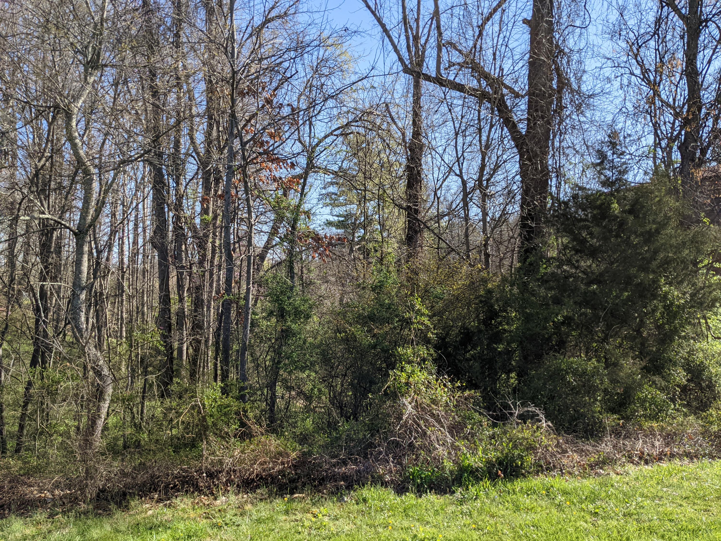 Tbd Tbd Old Jonesborough Road Jonesborough, TN 37659 - Photo 2 of 5 2