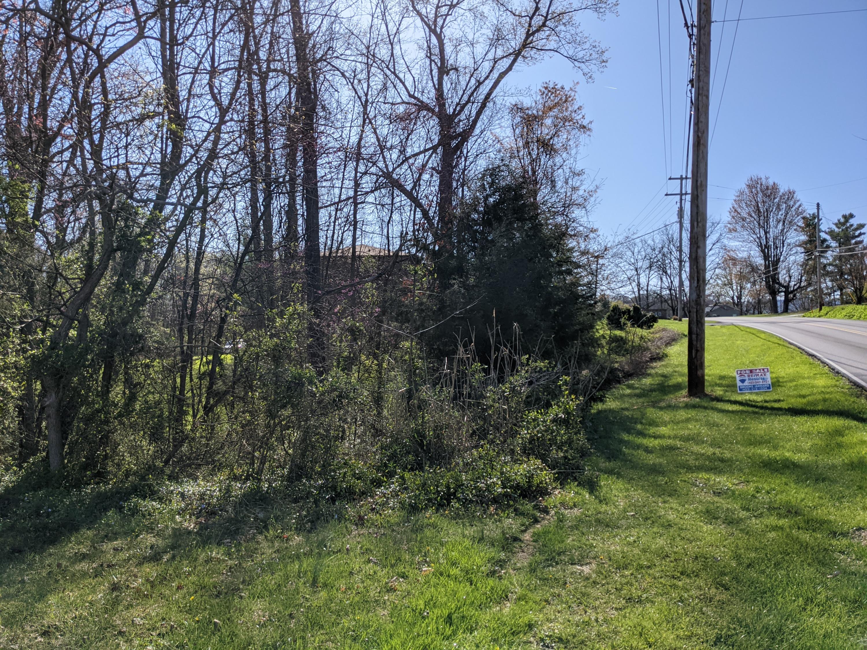 Tbd Tbd Old Jonesborough Road Jonesborough, TN 37659 - Photo 3 of 5 3