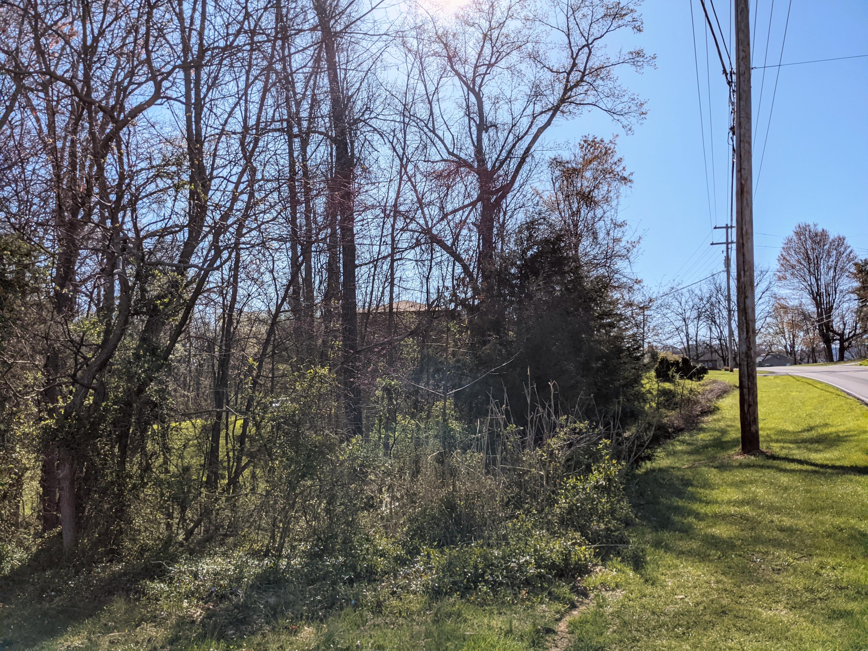 Tbd Tbd Old Jonesborough Road Jonesborough, TN 37659 - Photo 4 of 5 4