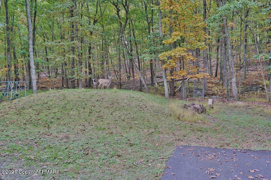 165 Chipmunk Road Bushkill, PA 18324 - Photo 49 of 57 Backyard