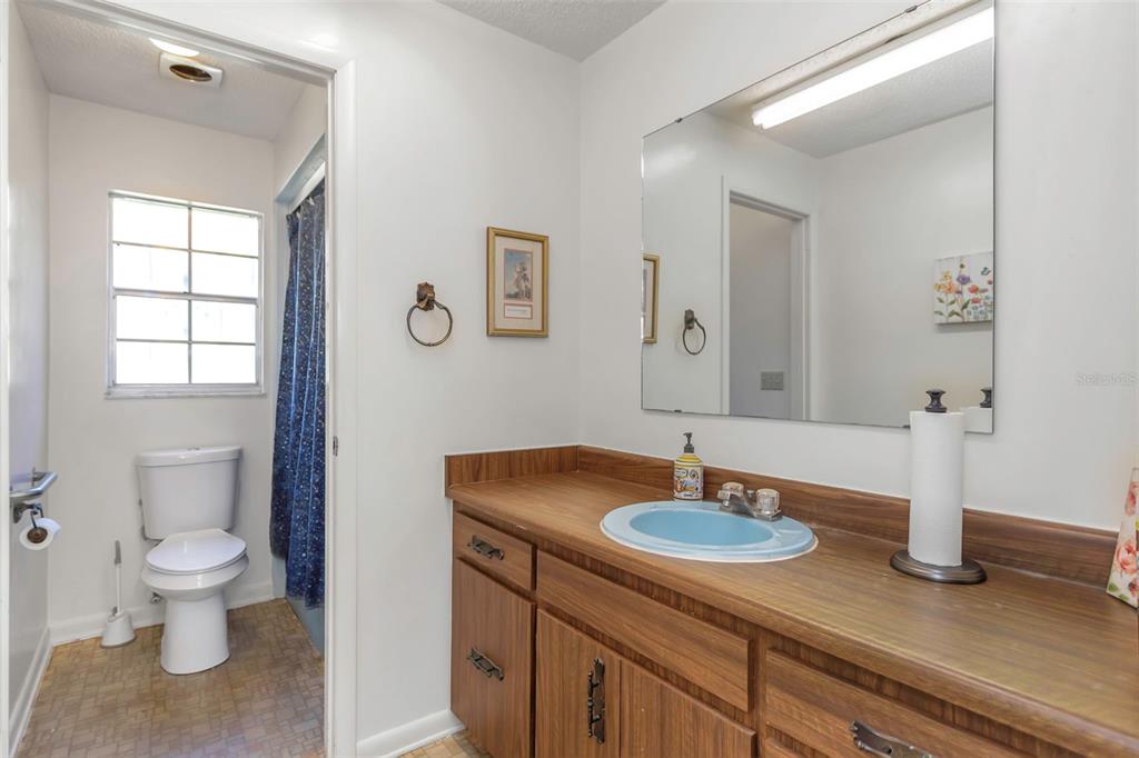 17515 Lakeshore Road Lutz, FL 33558 - Photo 37 of 61 a bathroom with a sink a toilet and a mirror