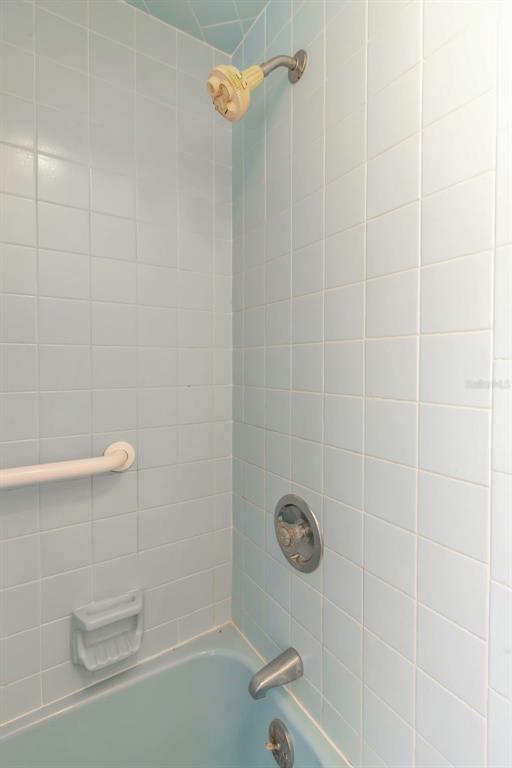 17515 Lakeshore Road Lutz, FL 33558 - Photo 39 of 61