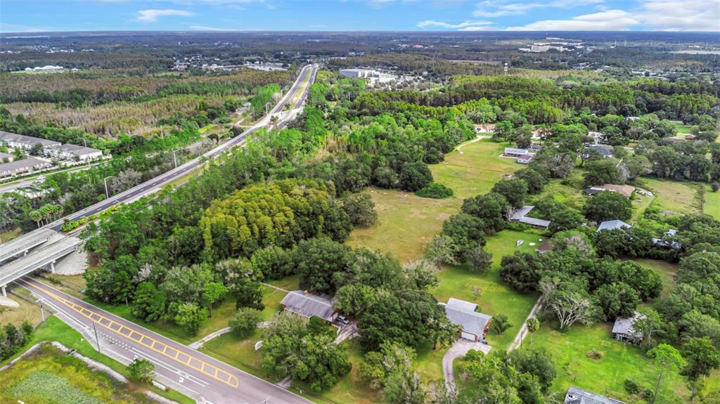 17515 Lakeshore Road Lutz, FL 33558 - Photo 52 of 61 a view of a lush green forest with lots of trees