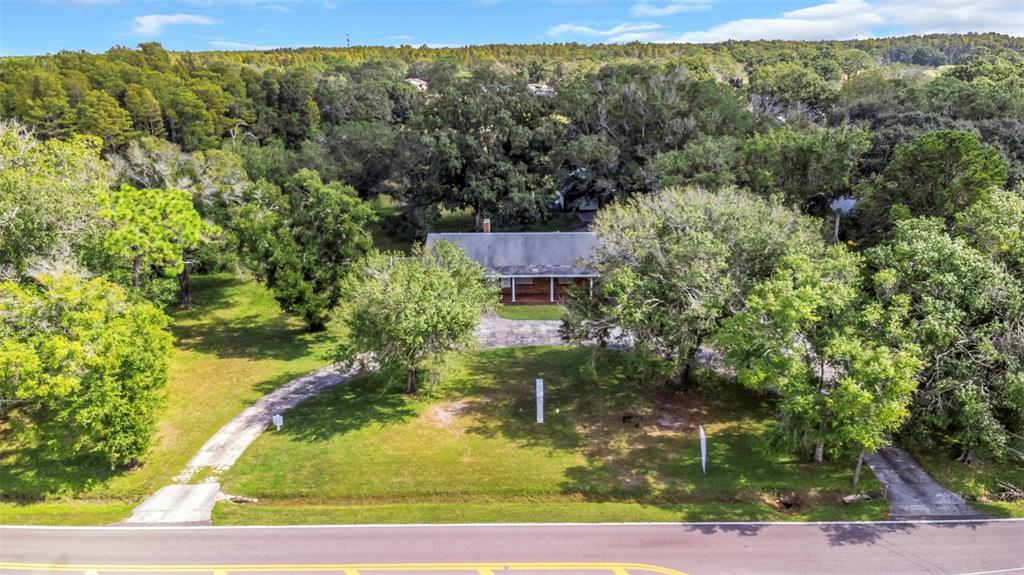 17515 Lakeshore Road Lutz, FL 33558 - Photo 60 of 61