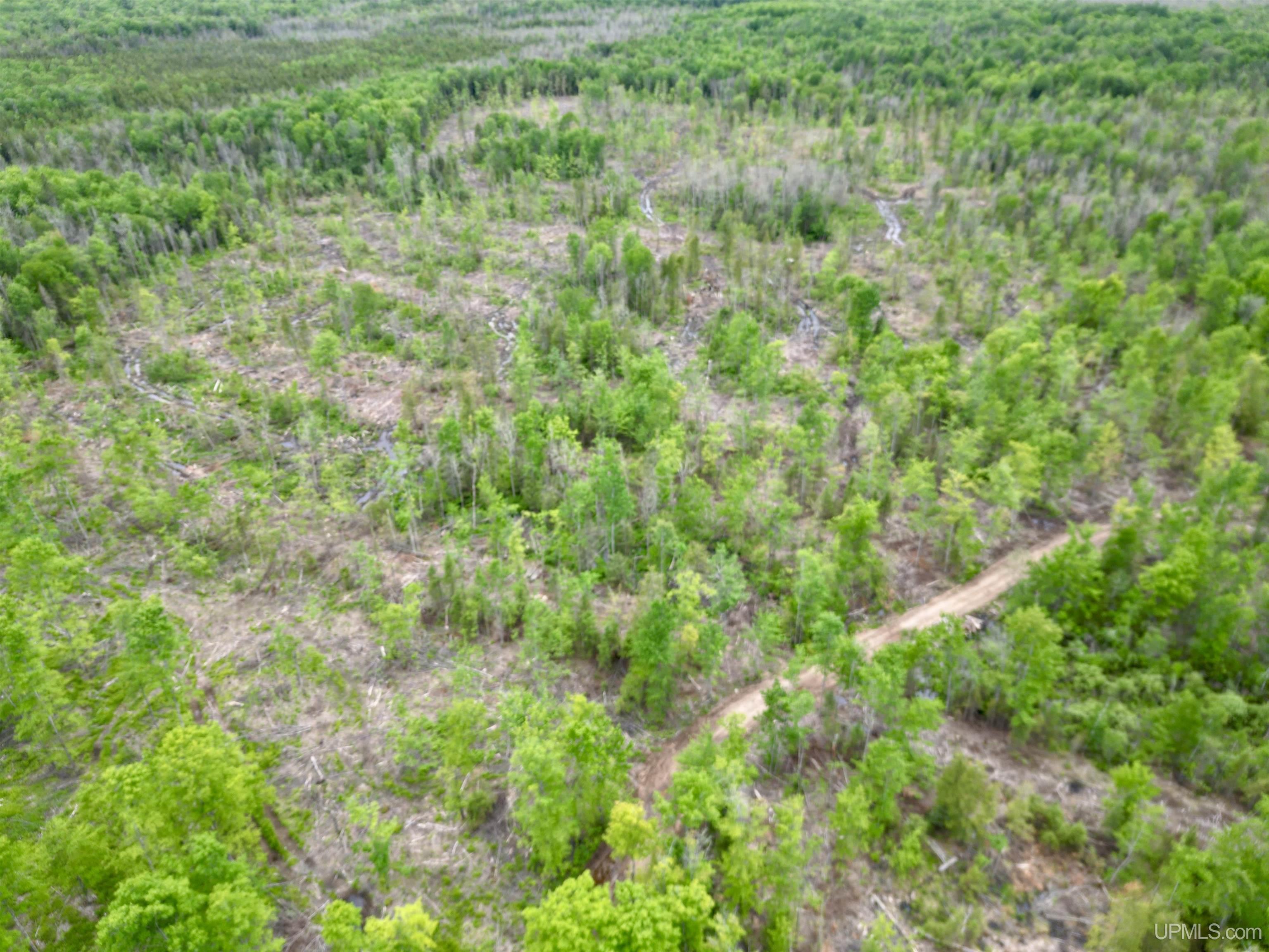 3601 Cr444 Road Rock, MI 49880 - Photo 7 of 78