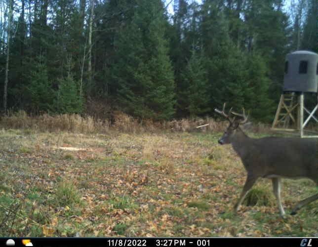 N8506 Swamp Road Tomahawk, WI 54487 - Photo 28 of 31 Gallery Image 28