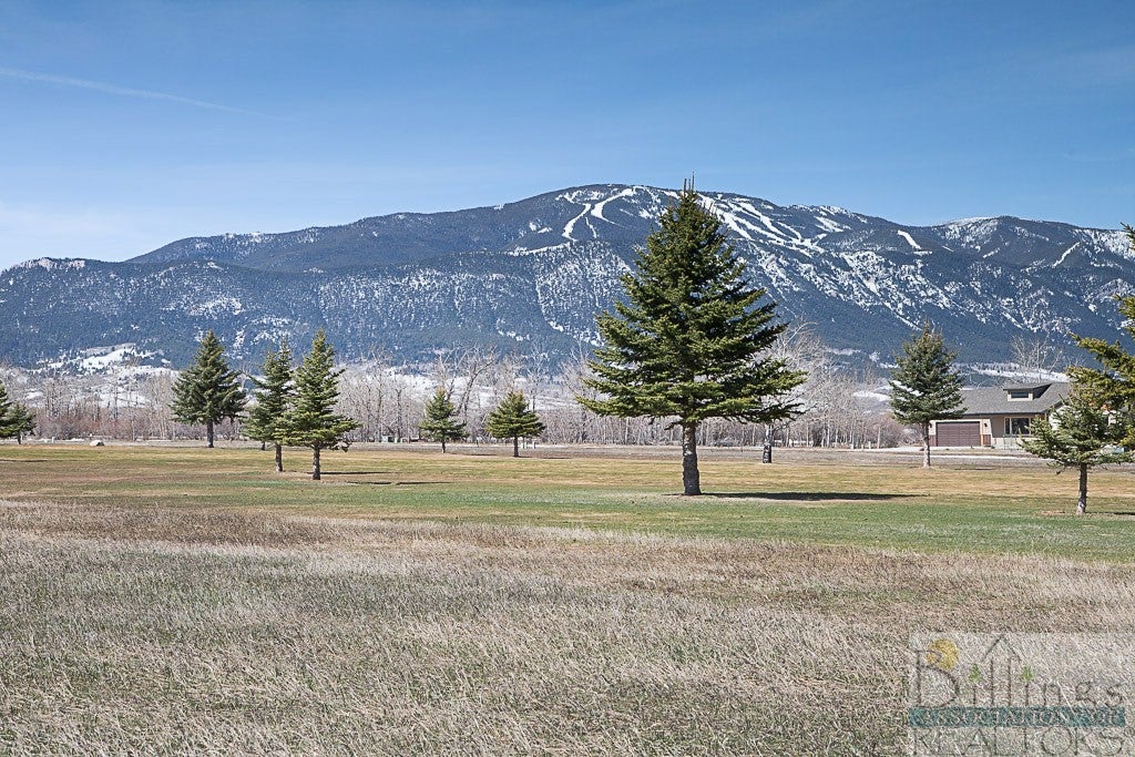 2735 Pine Ridge Road Red Lodge, MT 59068 - Photo 1 of 1 Gallery Image 1