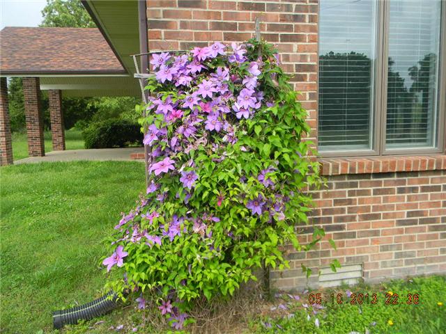 499 Buck Perry Road Bethpage, TN 37022 - Photo 15 of 19