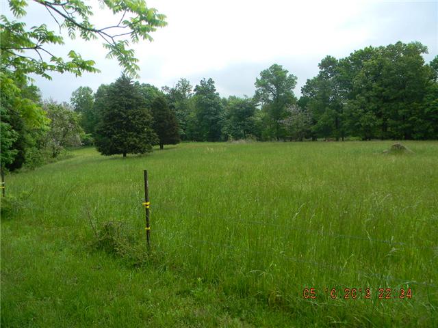 499 Buck Perry Road Bethpage, TN 37022 - Photo 18 of 19