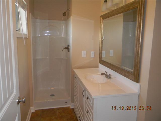 499 Buck Perry Road Bethpage, TN 37022 - Photo 7 of 19 Master Bath