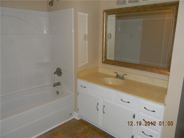499 Buck Perry Road Bethpage, TN 37022 - Photo 9 of 19 Guest Bath