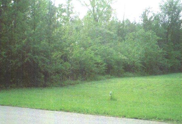 0 Pleasantfield Road Parrish, AL 35580 - Photo 1 of 1 Gallery Image 1