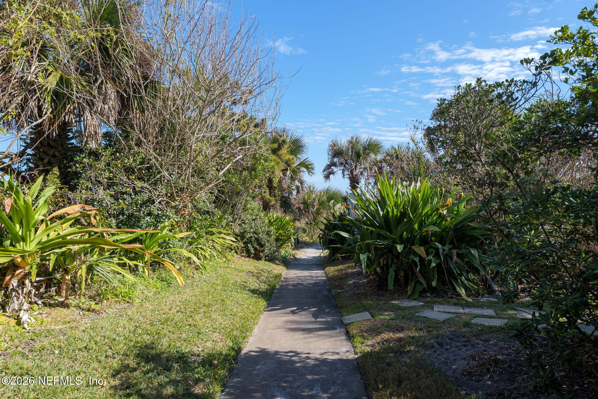 211 Beach Avenue Atlantic Beach, FL 32233 - Photo 33 of 44 a view of a pathway both side of yard