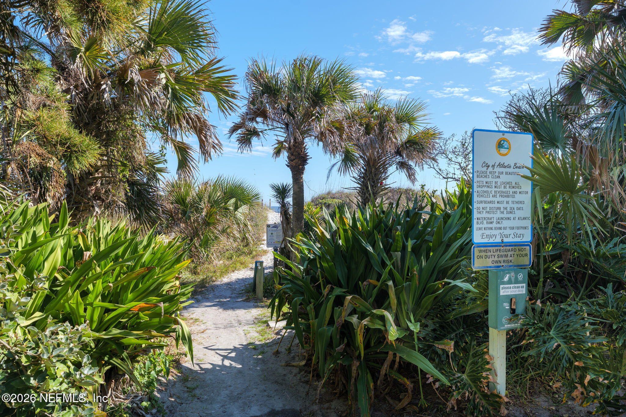211 Beach Avenue Atlantic Beach, FL 32233 - Photo 34 of 44 a plant that is in front of a building
