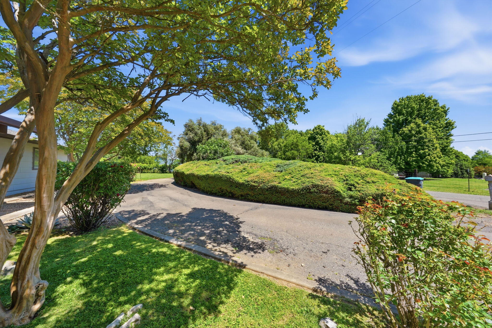 15695 Johnson Road Red Bluff, CA 96080 - Photo 3 of 53 Circular driveway