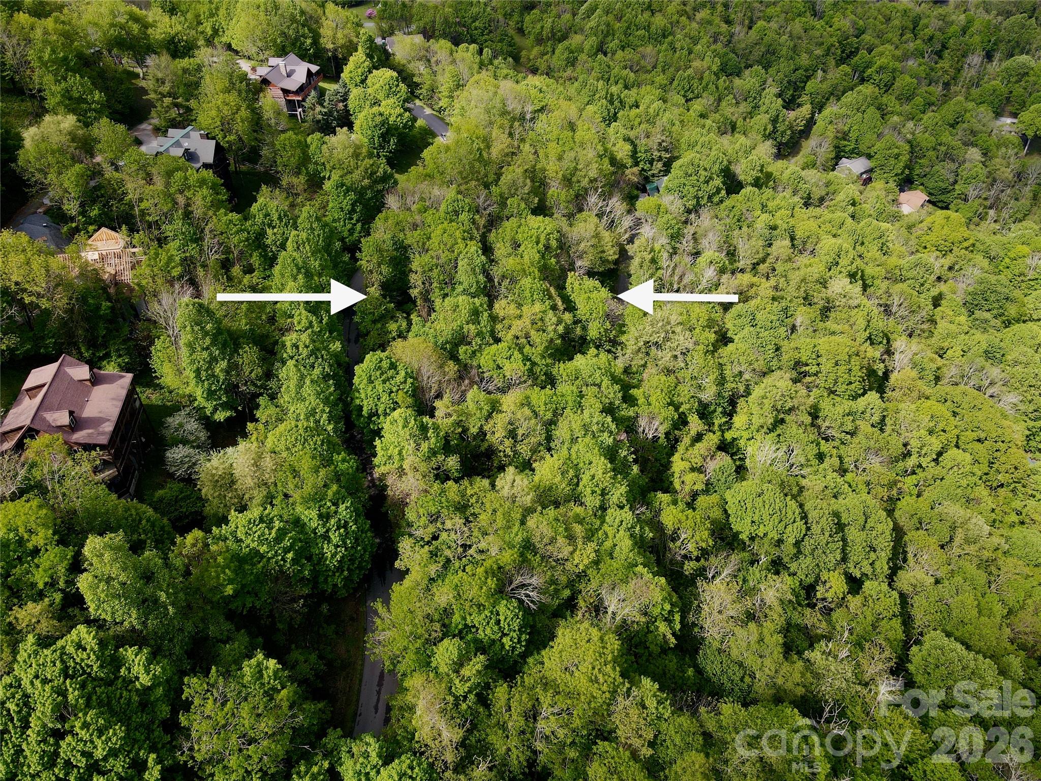 Seven Alpine Drive, Unit 33 Banner Elk, NC 28604 - Photo 5 of 8 a view of a forest with a tree