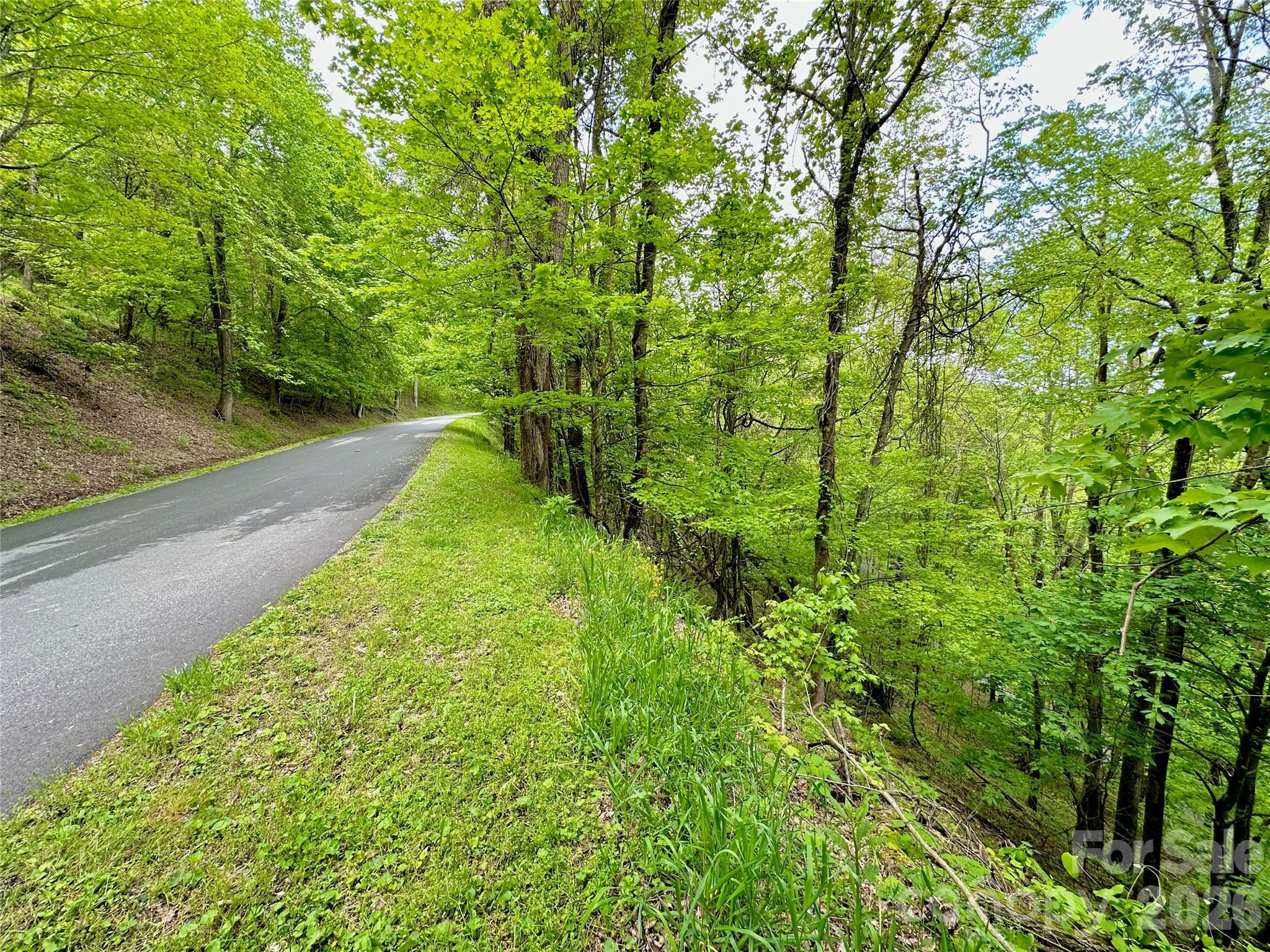 Seven Alpine Drive, Unit 33 Banner Elk, NC 28604 - Photo 7 of 8 a lush green forest with lots of trees