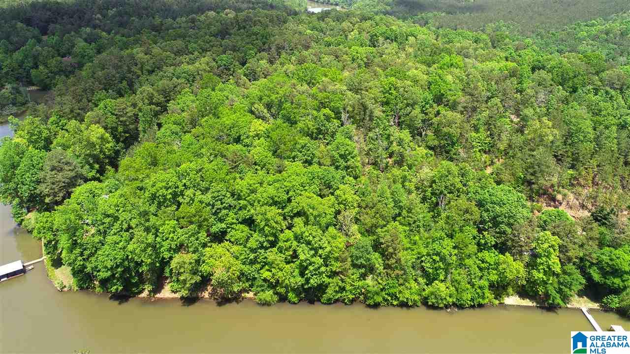 2011 County Road Wedowee, AL 36278 - Photo 3 of 6