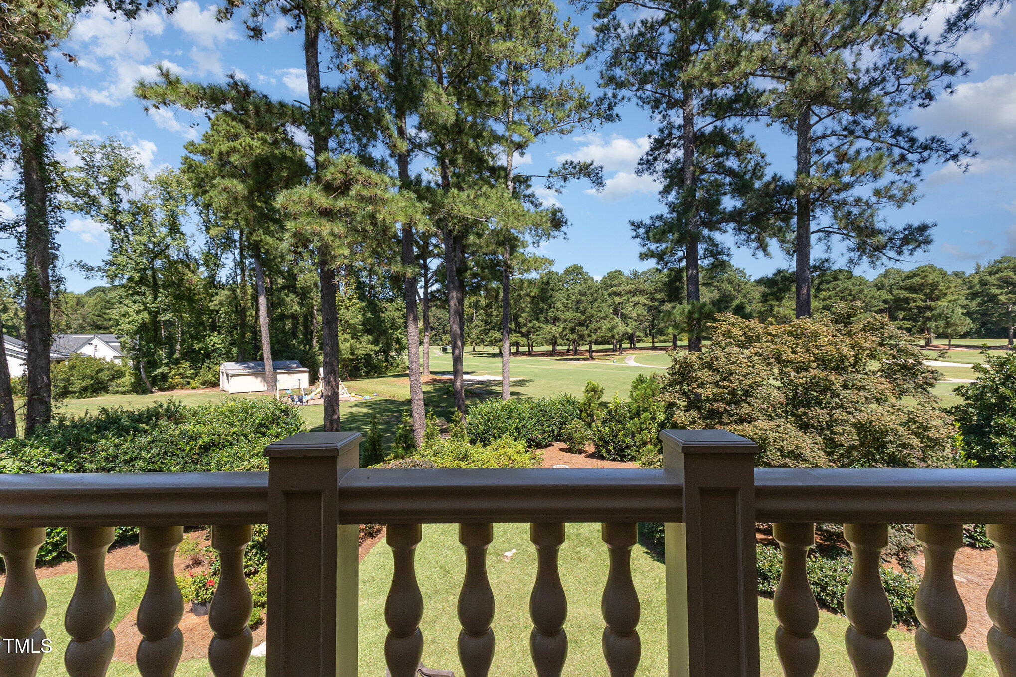 1160 Country Club Road Smithfield, NC 27577 - Photo 59 of 95 063_kv0a1306-edit_221