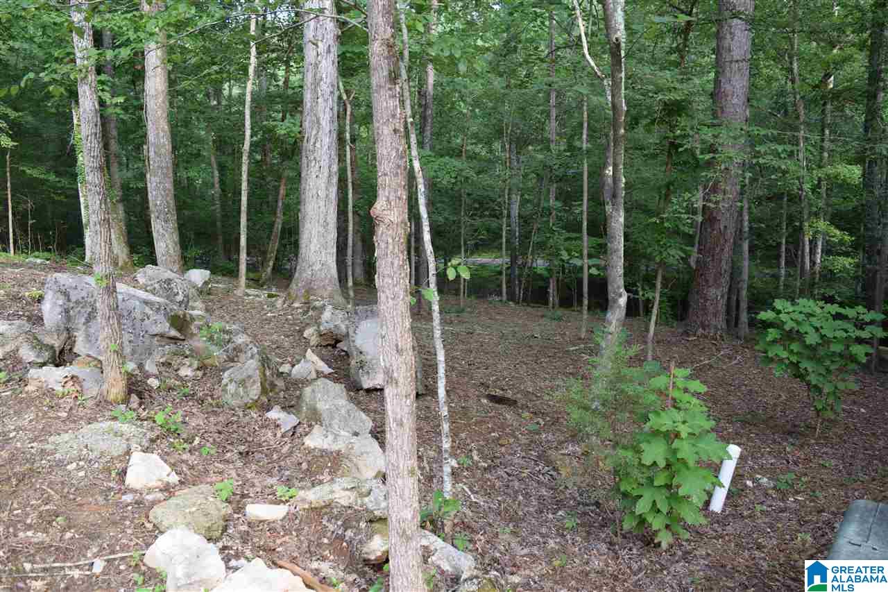 Lot 10 South Hollow Road, Unit 10 Hayden, AL 35079 - Photo 2 of 17