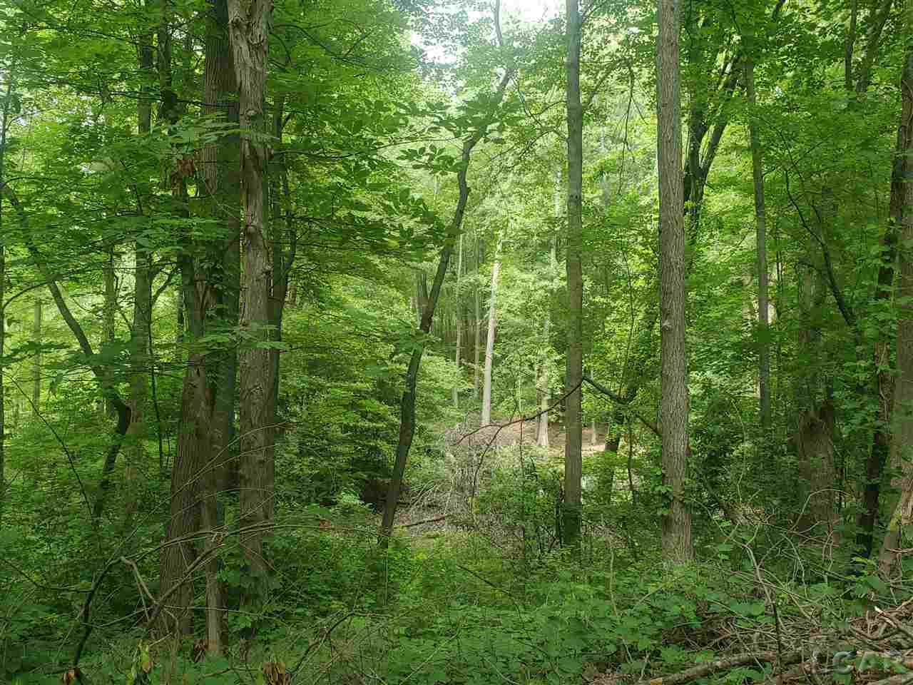 0 Shady Lane Tipton, MI 49287 - Photo 3 of 6