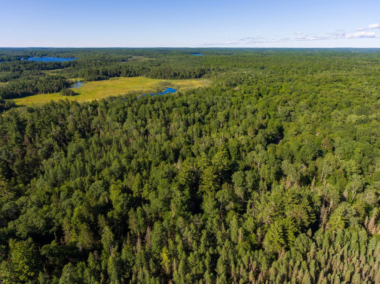 Lot 9 Moonshine Valley Road Presque Isle, WI 54557 - Photo 10 of 19 Gallery Image 10
