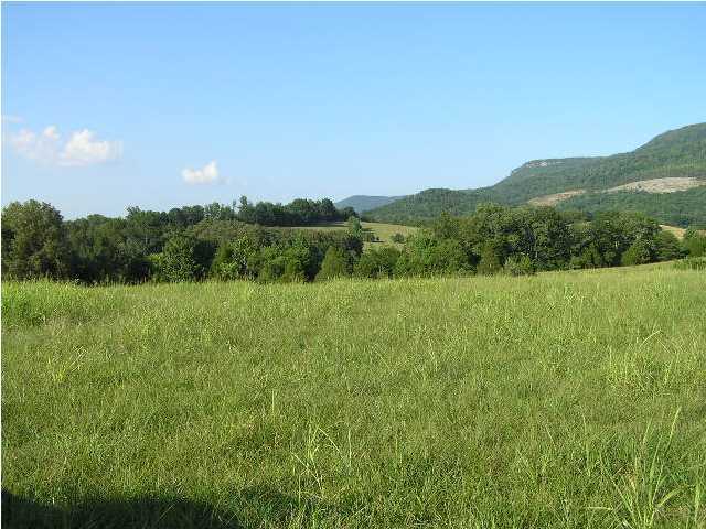 11111 West Valley Road Dunlap, TN 37327 - Photo 1 of 8 Primary Photo