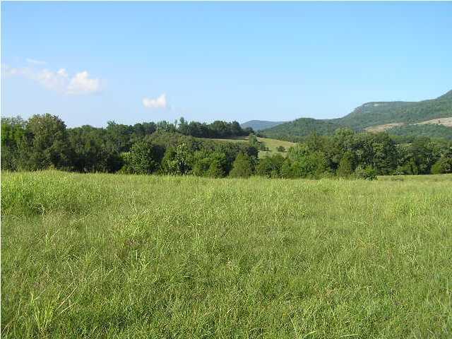 11111 West Valley Road Dunlap, TN 37327 - Photo 8 of 8 Additional Photo