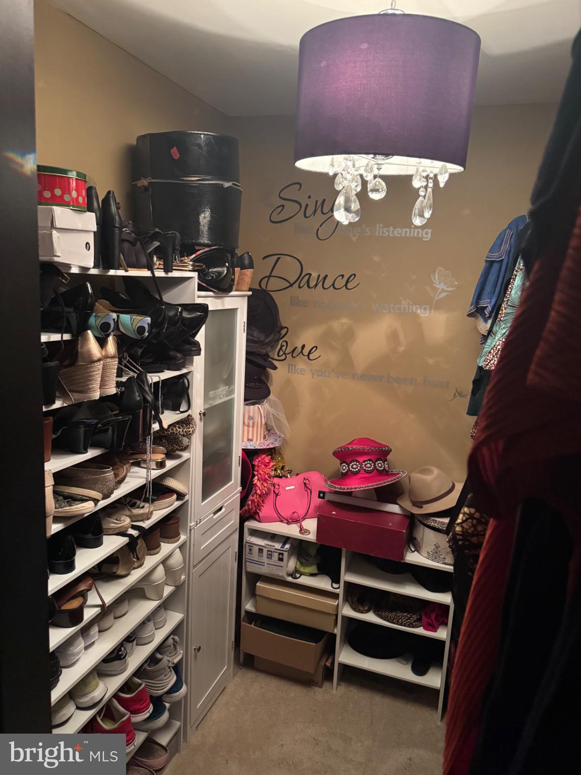 103 Canvasback Way Cambridge, MD 21613 - Photo 26 of 39 a view of walk in closet with clothes and shoes