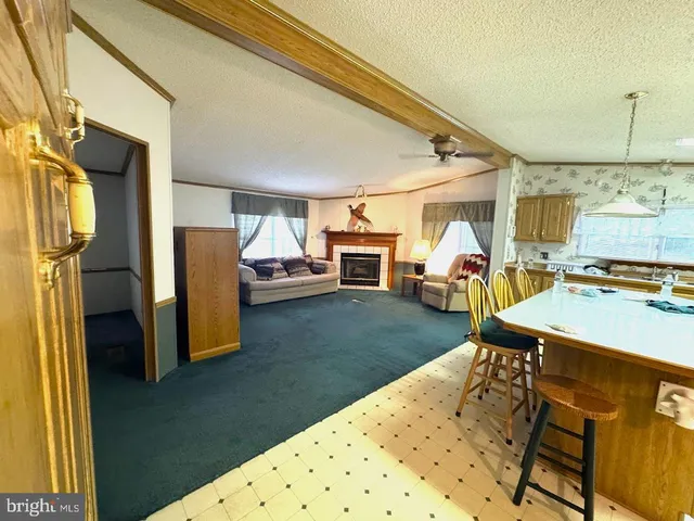 $214,900 | 19027 Maryland Highway, Swanton, MD 21561