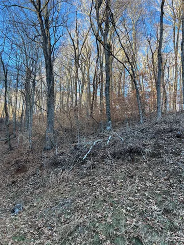 $15,000 | 0 Chestnut Lane, Unit 80, Mars Hill, NC 28754