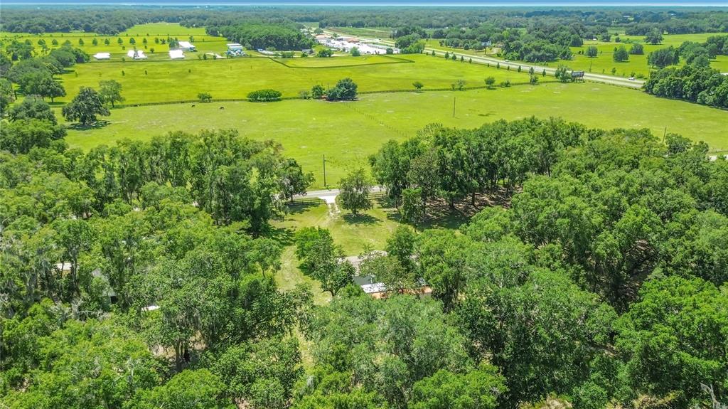 13655 Southeast 25th Avenue Summerfield, FL 34491 - Photo 45 of 52