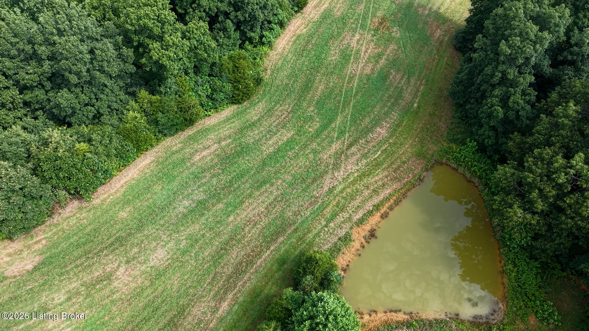 1096 Eastview Road Cecilia, KY 42724 - Photo 84 of 99 1096 Eastview Rd-335