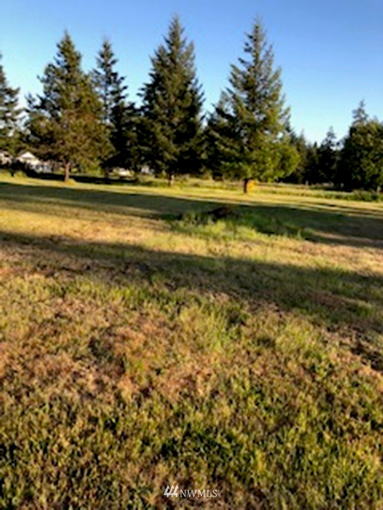 581 West Mary M Knight Road Elma, WA 98541 - Photo 5 of 23 Gallery Image 5