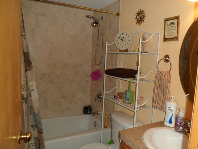 10538 SW Highway, Unit 203B Chicago Ridge, IL 60415 - Photo 12 of 14 a bathroom with a sink toilet and shower