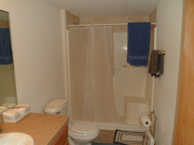 10538 SW Highway, Unit 203B Chicago Ridge, IL 60415 - Photo 10 of 14 a bathroom with a toilet and a shower
