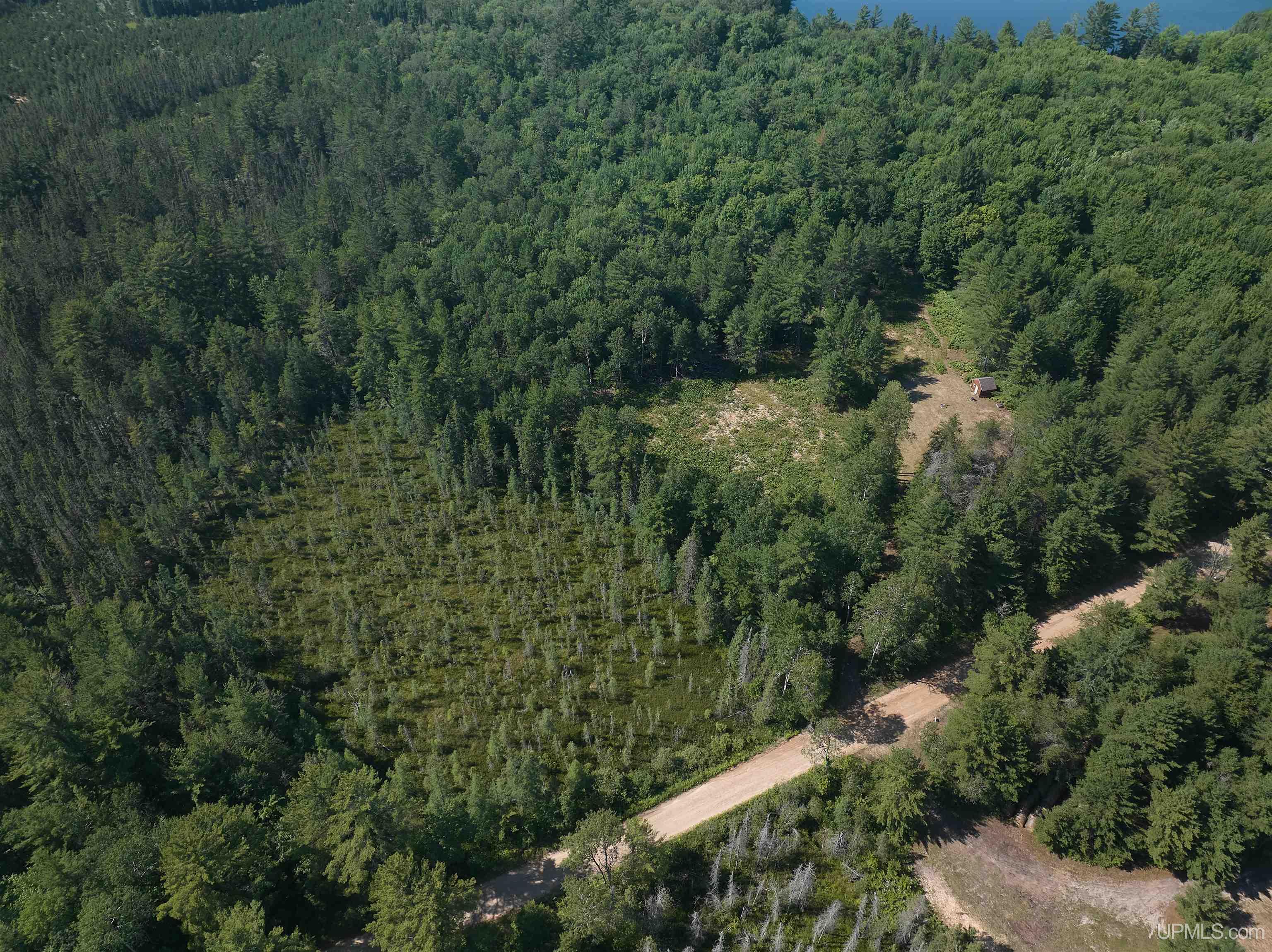 7806 Doe Lake Road Munising, MI 49862 - Photo 10 of 26