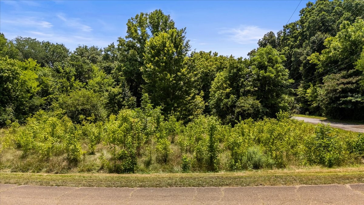 474 Clift Road Soddy-Daisy, TN 37379 - Photo 13 of 19