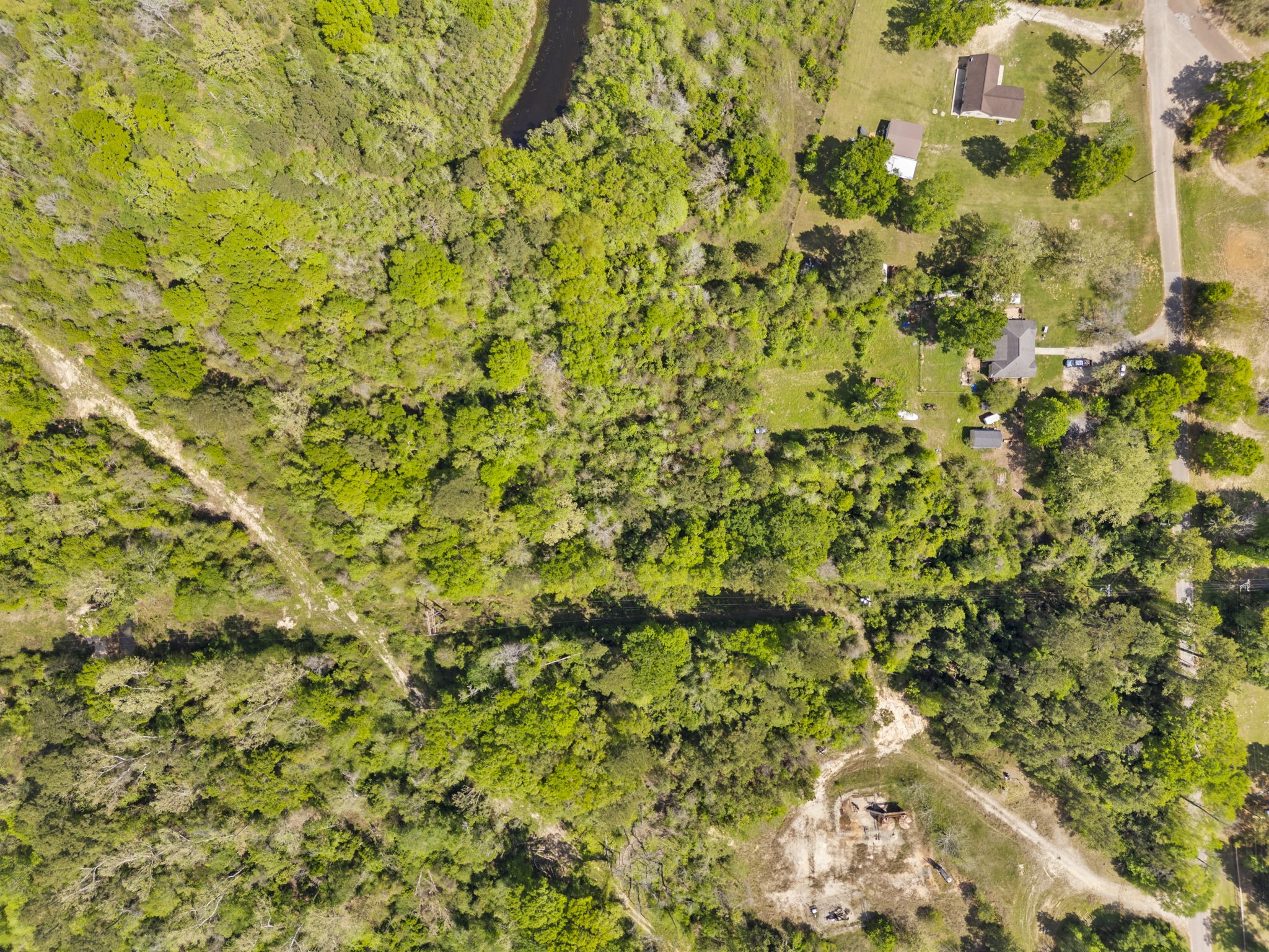 0 Old Texaco Camp Road Conroe, TX 77302 - Photo 1 of 8 a view of a big yard with plants and large tree