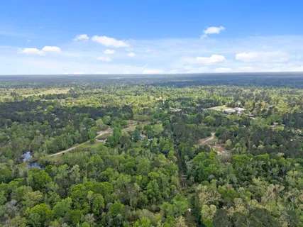 a view of a city with lush green forest
