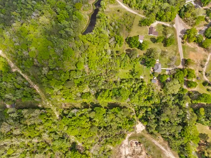 a view of a yard with a tree