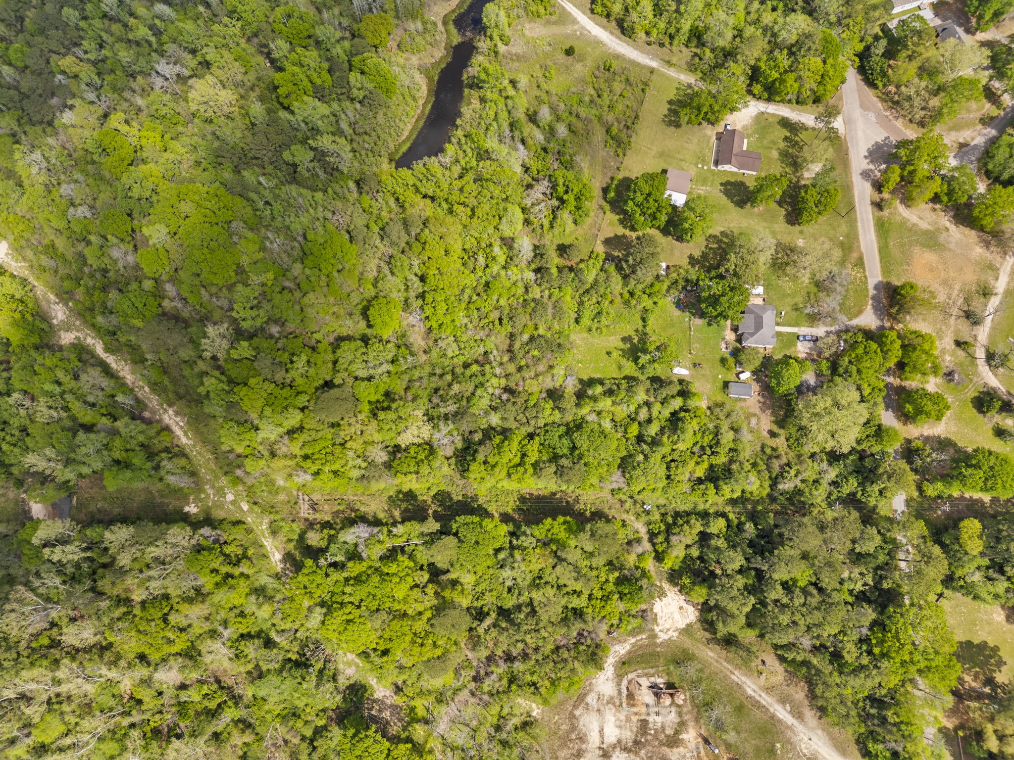 0 Old Texaco Camp Road Conroe, TX 77302 - Photo 7 of 8 a view of a yard with a tree